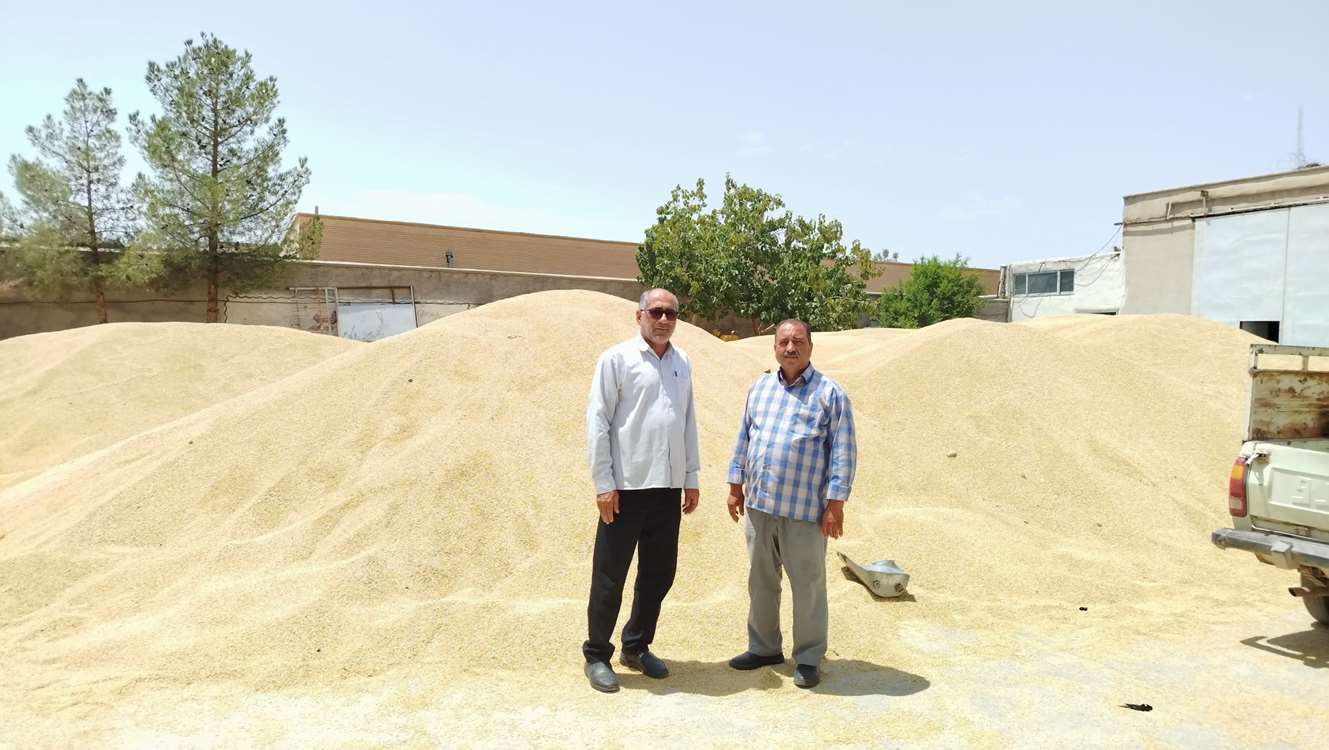 جو جعفری 